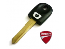 Ducati T5