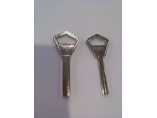 Canas ABL-1